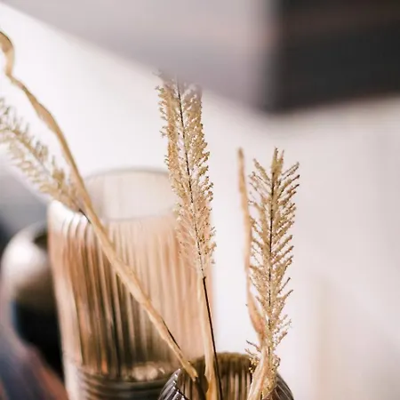 Hotelbed W Aircon At Willem 1 * تيلبورغ