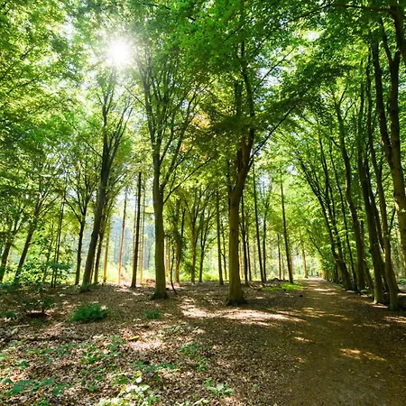 شقة Hotelbed W Aircon At Willem 1 *