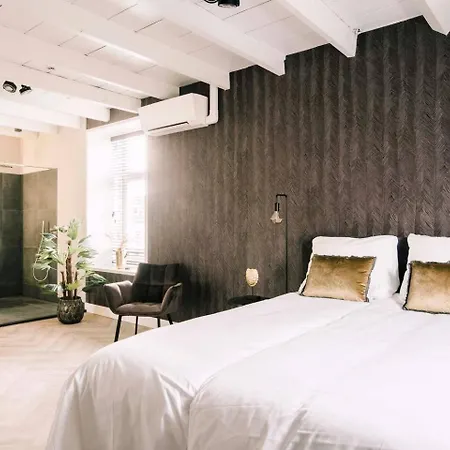 Apartment Hotelbed W Aircon At Willem 1 Tilburg