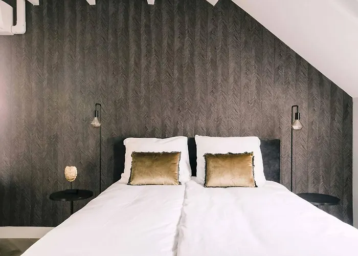 Hotelbed W Aircon At Willem 1 Tilburg