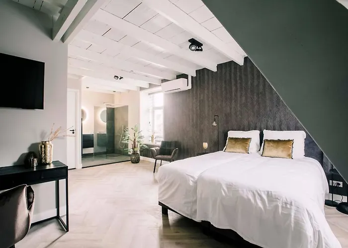 Hotelbed W Aircon At Willem 1 Апартаменты Тилбург