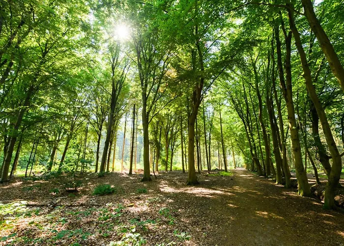 Appartement Hotelbed W Aircon At Willem 1 *