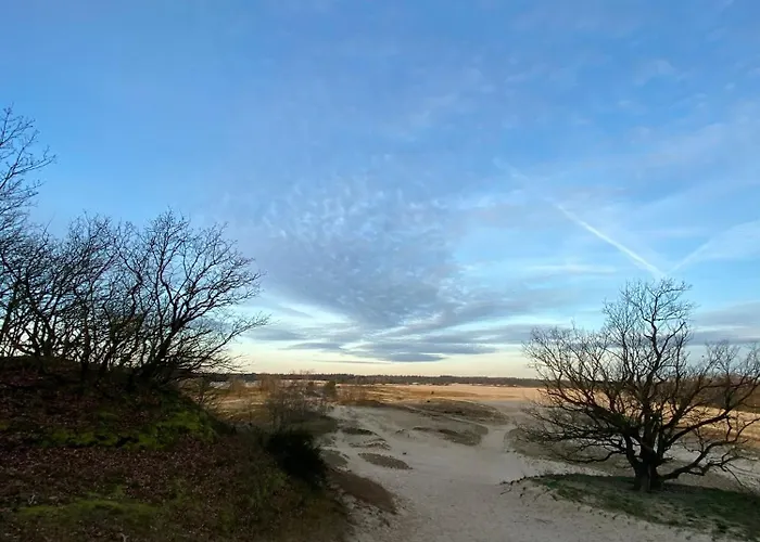 Апартаменты Hotelbed W Aircon At Willem 1 *