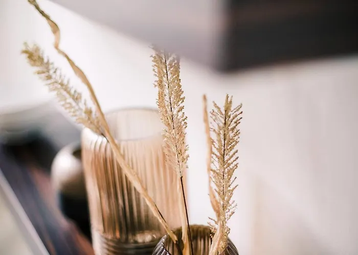 Hotelbed W Aircon At Willem 1 * 提耳堡